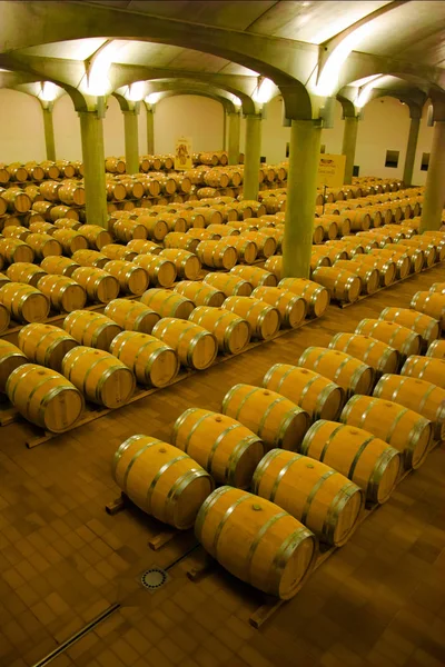 Barris Vinho Empilhados Adega Adega Marsala Sicília — Fotografia de Stock