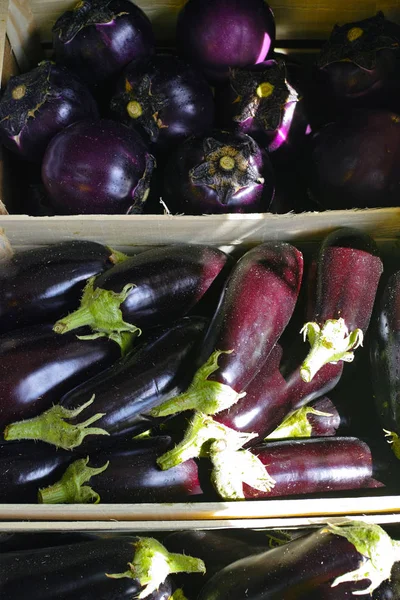 紫ナス 新鮮な健康野菜 — ストック写真