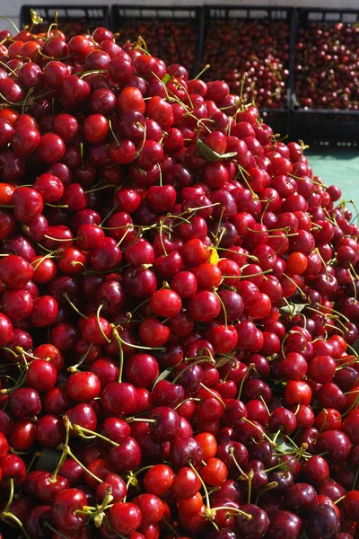 Nuova vendemmia di ciliegie rosse fresche mature, mercato di strada in Italia — Foto Stock