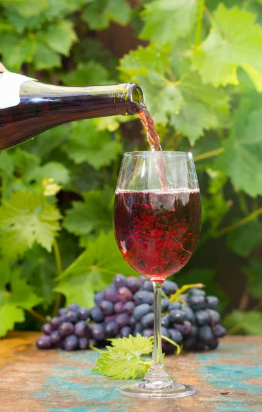 야외 테라스, 레드 와인 한 잔 붓는 웨이터 와인 시음 — 스톡 사진