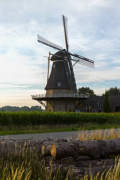 Molino de viento holandés, pequeño pueblo en el norte de Brabante, molino y filds de maíz —  Fotos de Stock