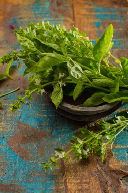 Yemek için-en iyi Akdeniz bitki yeşil taze fesleğen 