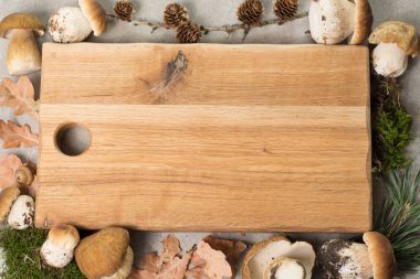 Sonbahar akşam yemeği kavramı kopya alanı - taze porcini çörek meşe muchrooms, yüksek kaliteli, Restoran Menü, kurula alakart kesme-