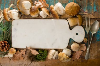 Sonbahar akşam yemeği kavramı kopya alanı - taze porcini çörek meşe muchrooms, yüksek kaliteli, Restoran Menü, kurula alakart kesme-