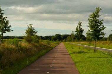 Güvenli ve ucuz ulaşım - Hollanda bisiklet yolları ağı, sağlıklı yaşam tarzı