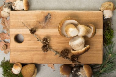 Sonbahar akşam yemeği kavramı kopya alanı - taze porcini çörek meşe muchrooms, yüksek kaliteli, Restoran Menü, kurula alakart kesme-