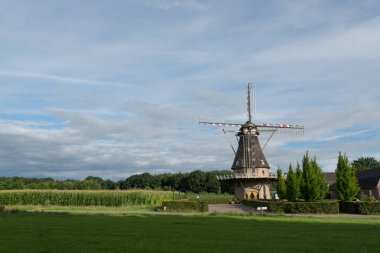 Kuzey Brabant eski Hollanda vahşi değirmen ile Manzara