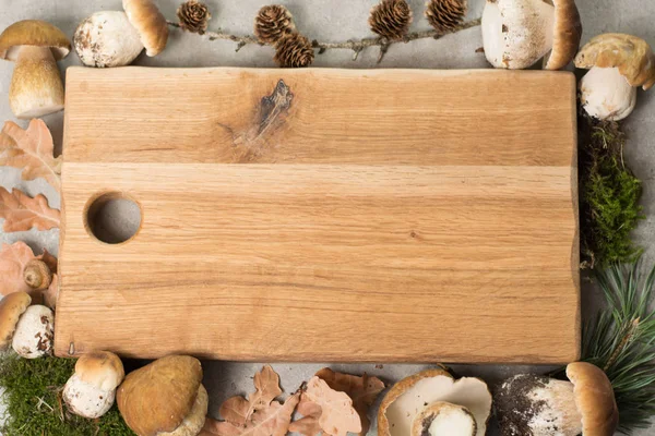 Sonbahar akşam yemeği kavramı kopya alanı - taze porcini çörek meşe muchrooms, yüksek kaliteli, Restoran Menü, kurula alakart kesme-