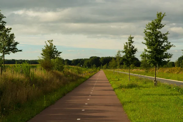 Güvenli ve ucuz ulaşım - Hollanda bisiklet yolları ağı, sağlıklı yaşam tarzı