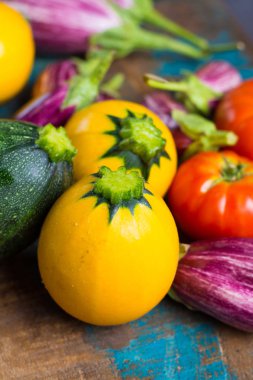 Taze organik sebze - yuvarlak kabak, küçük patlıcan, tom