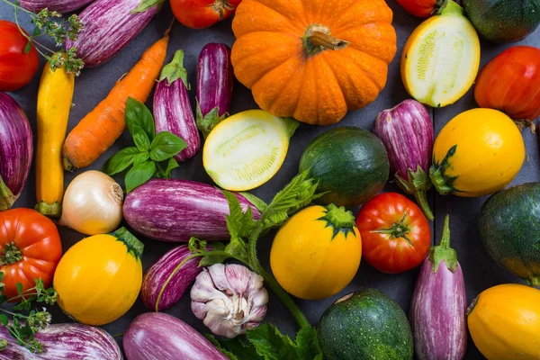 Fresh organic vegetables - round courgette, small eggplants, tomatoes top view — Stock Photo, Image