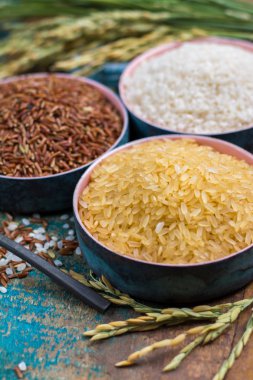 Camargue pirinç tarlaları Fransa ve valiety kuru pirinç kulaklarından yeşil pirinç