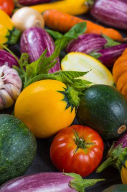 Taze organik sebze - yuvarlak kabak, küçük patlıcan, tom