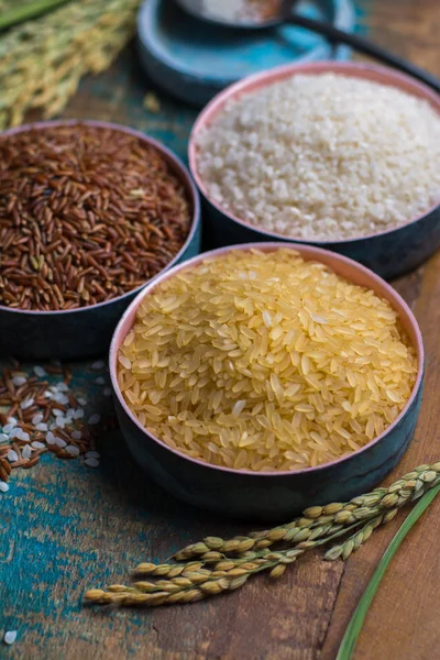 Yeşil pirinç kulaklarından Camargue pirinç tarlaları Fransa ve valiety 