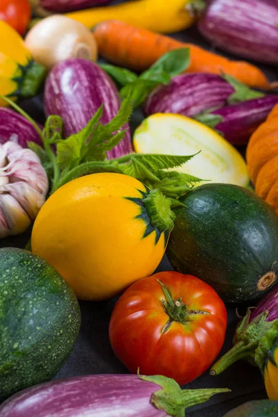 Taze organik sebze - yuvarlak kabak, küçük patlıcan, tom