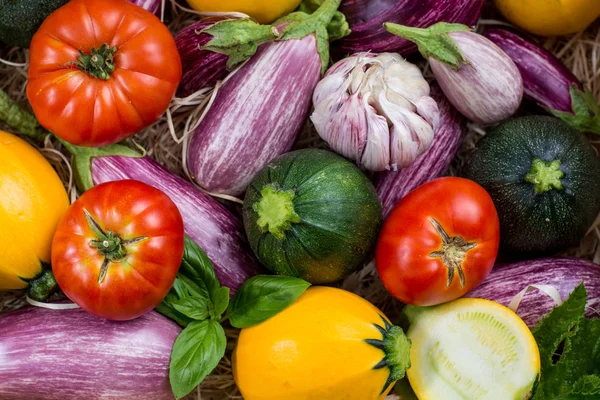 Taze renkli organik sebze arka plan veya duvar kağıdı - yuvarlak kabak, küçük patlıcan, domates, diyet kavramı, İtalyan ve Fransız Gıda, sağlıklı gıda.