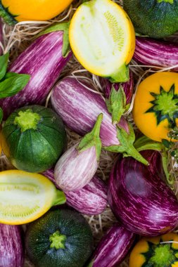 Taze renkli organik sebze arka plan veya duvar kağıdı - yuvarlak kabak, küçük patlıcan, domates, diyet kavramı, İtalyan ve Fransız Gıda, sağlıklı gıda.