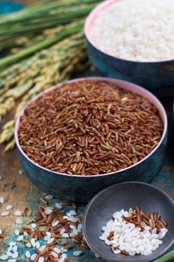 Yeşil pirinç kulaklarından Camargue Provence, Fransa pirinç tarlaları ve valiety ahşap masa üzerinde kuru pirinç