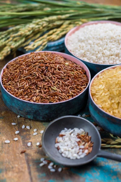 Yeşil pirinç kulaklarından Camargue Provence, Fransa pirinç tarlaları ve valiety ahşap masa üzerinde kuru pirinç