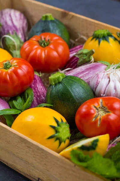 Taze renkli organik sebze - yuvarlak kabak, küçük patlıcan, domates, diyet kavramı, İtalyan ve Fransız Gıda, sağlıklı gıda.