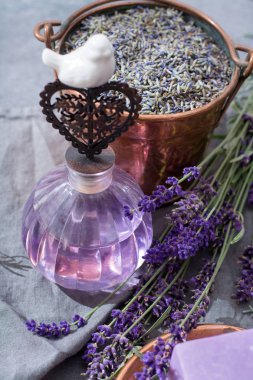 Taze veya kurutulmuş lavanta çiçekleri, aroma spa treathment ve welness kadınlar için yapılmış lavanta doğal parfümlü yağı
