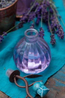 Taze veya kurutulmuş lavanta çiçekleri, aroma spa treathment ve welness kadınlar için yapılmış lavanta doğal parfümlü yağı