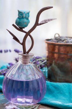 Taze veya kurutulmuş lavanta çiçekleri, aroma spa treathment ve welness kadınlar için yapılmış lavanta doğal parfümlü yağı