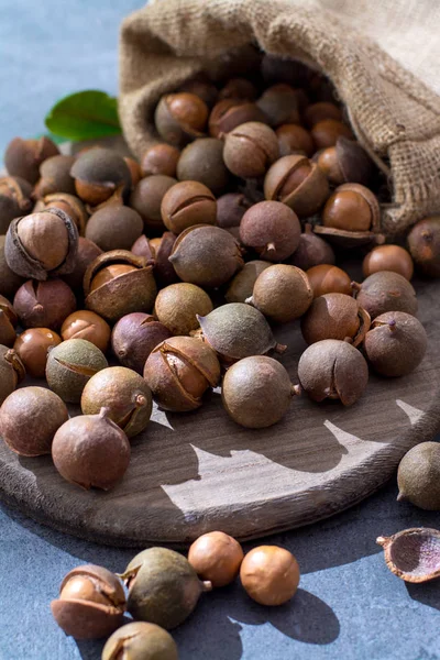 Nueces Macadamia Australianas Cosecha Fresca Sin Pelar Cerca — Foto de Stock
