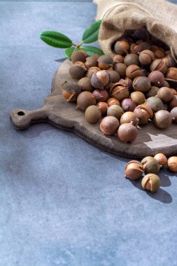 Unpeeld taze hasat Avustralya macadamia fıstığı, yakın çekim