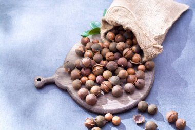 Avustralya macadamia fıstığı, unpeeld taze hasat