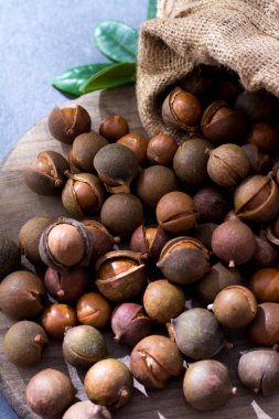 Avustralya macadamia fıstığı, unpeeld taze hasat