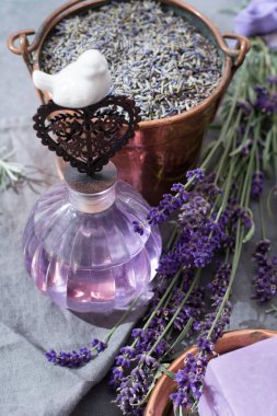 Lavanta parfüm yağı, taze lavanta çiçek, aroma sp yapılan