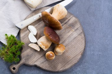 Boletus mantarı, cepe, gri beton üzerinde yıkanmış porcini mantar 