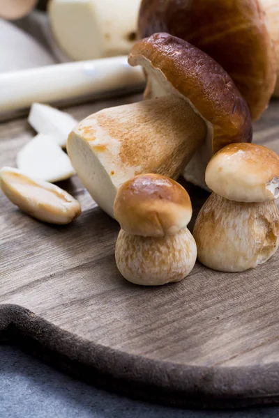 Boletus edulis, cepe, champiñones porcini lavados sobre hormigón gris — Foto de Stock