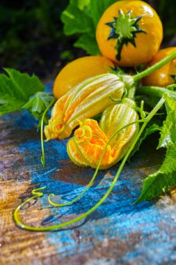 Yuvarlak sarı kabak ve kabak çiçekleri, bahçede taze,