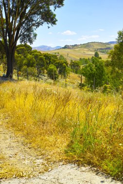 Orta Sicilya tepeler ve alanları ile deniz arasında peyzaj