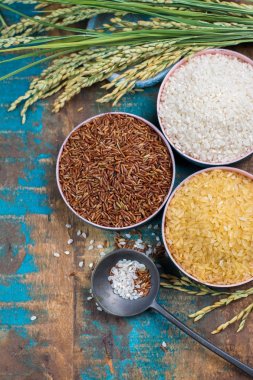 Yeşil pirinç kulaklarından Camargue Provence, Fransa pirinç tarlaları ve valiety ahşap masa üzerinde kuru pirinç