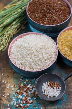 Yeşil pirinç kulaklarından Camargue Provence, Fransa pirinç tarlaları ve valiety ahşap masa üzerinde kuru pirinç