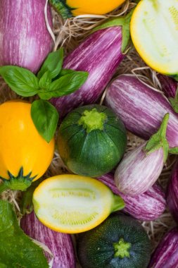 Taze renkli organik sebze arka plan veya duvar kağıdı - yuvarlak kabak, küçük patlıcan, domates, diyet kavramı, İtalyan ve Fransız Gıda, sağlıklı gıda.