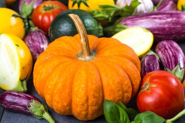 Taze renkli organik sebzeler - portakal kabak, yuvarlak kabak, küçük patlıcan, domates, diyet kavramı, İtalyan ve Fransız gıda, sağlıklı gıda.