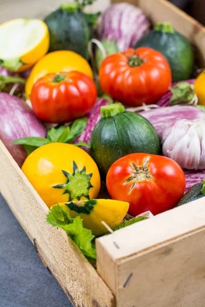 Taze renkli organik sebze - yuvarlak kabak, küçük patlıcan, domates, diyet kavramı, İtalyan ve Fransız Gıda, sağlıklı gıda.