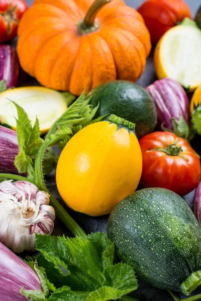 Fresh Colorful Organic Vegetables Courgette Pumpkin Small Eggplants Tomatoes Diet — Stock Photo, Image