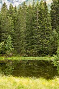 Küçük orman gölde Alpen dağlar, yürüyüş, gevşeme ve huzurlu tatil için bir yer
