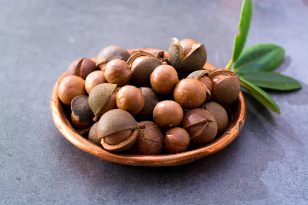 Nueces Macadamia Australianas Cosecha Fresca Sin Pelar Cerca — Foto de Stock