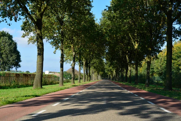 Bisiklet yolları, ulaşım ile köy arasındaki Hollandalı yol ben — Stok fotoğraf