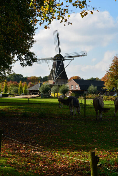 Пейзаж с традиционной голландской зерновой мельницей
 