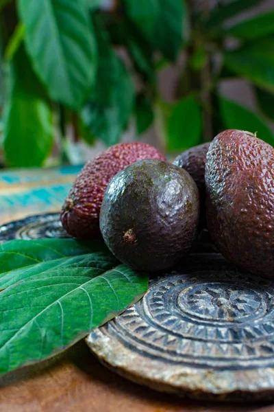 Здорова Вегетаріанська Їжа Зелений Стиглий Авокадо Новий Урожай Листям Кам — стокове фото
