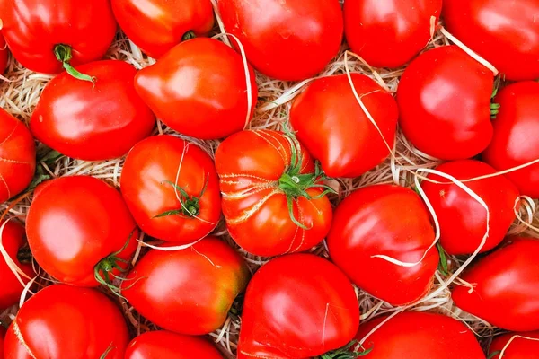 Antigos tomates franceses provençais no mercado de rua — Fotografia de Stock