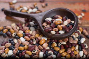Çeşitli protein zengin renkli ham kuru fasulye