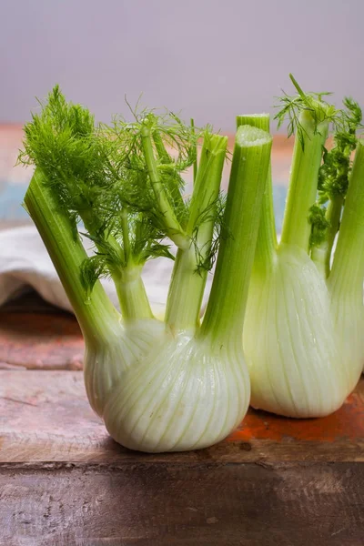 Φρέσκο ωμό οργανικό Florence fennel βολβούς, κοντινό πλάνο — Φωτογραφία Αρχείου